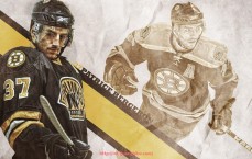 瓜子直播-法甲联赛最佳球场设施综合评估与排名情况