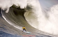 瓜子直播-全面的健身器材大全包含哪些器械，如何根据需求选择？（健身器材大全所有器材的名字）