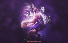 瓜子直播-德甲球队冠名制度解析及目前冠名商明细