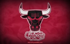 瓜子直播-火箭队最新阵容介绍与未来赛季战略展望