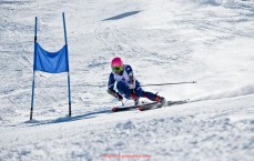 瓜子直播-勇士队在2023年选秀大会中选出的射手能否延续三分传统