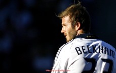 瓜子直播-综合健身器材训练器：全身锻炼的理想选择