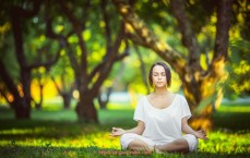 瓜子直播-德甲球队阵容与管理层更新情况整理