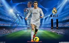 瓜子直播-2014意甲降级球队：回顾2014年意甲降级的球队与原因