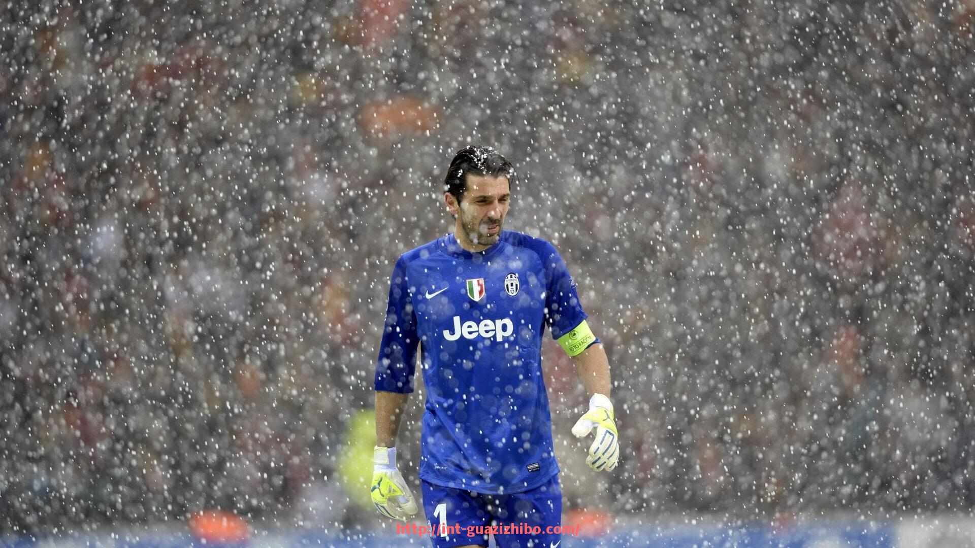 瓜子直播-各大健身器材主要用途及功能解析