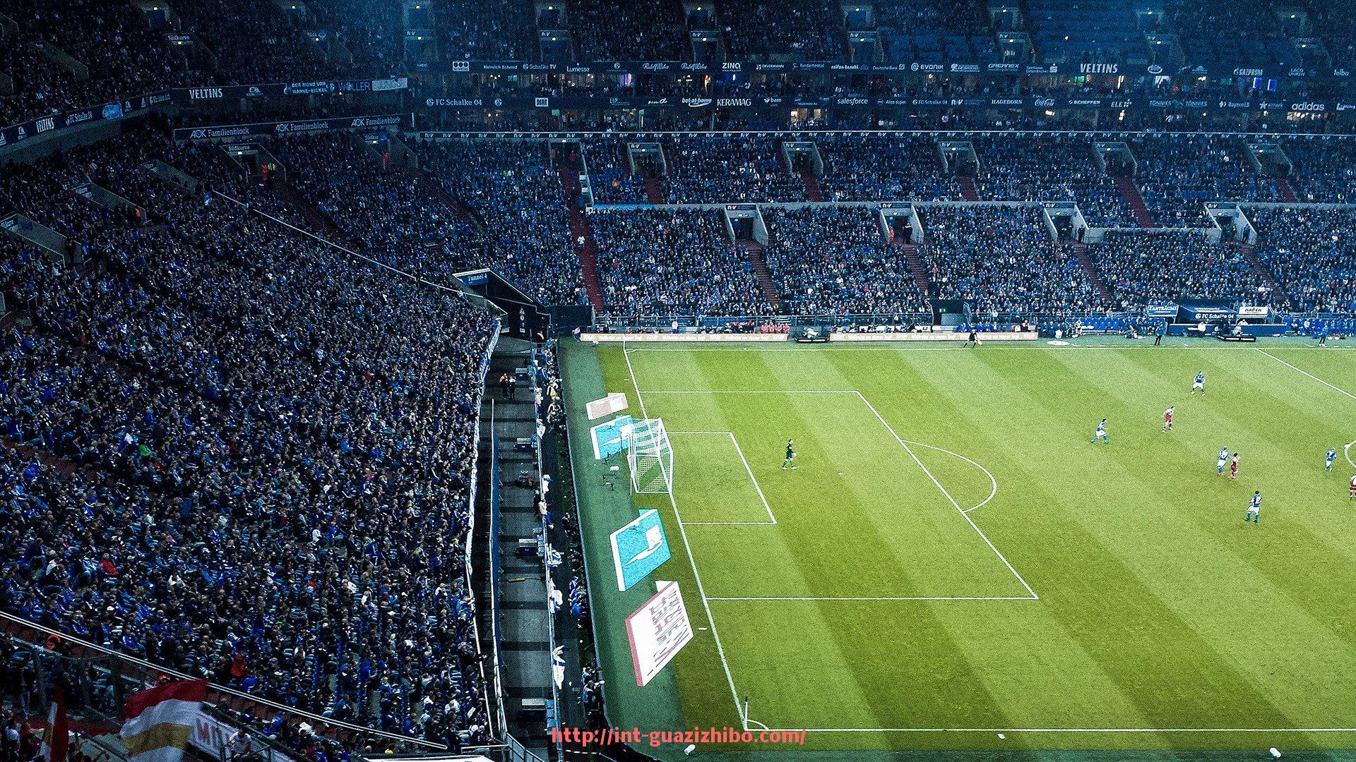 瓜子直播-各大健身器材主要用途及功能解析