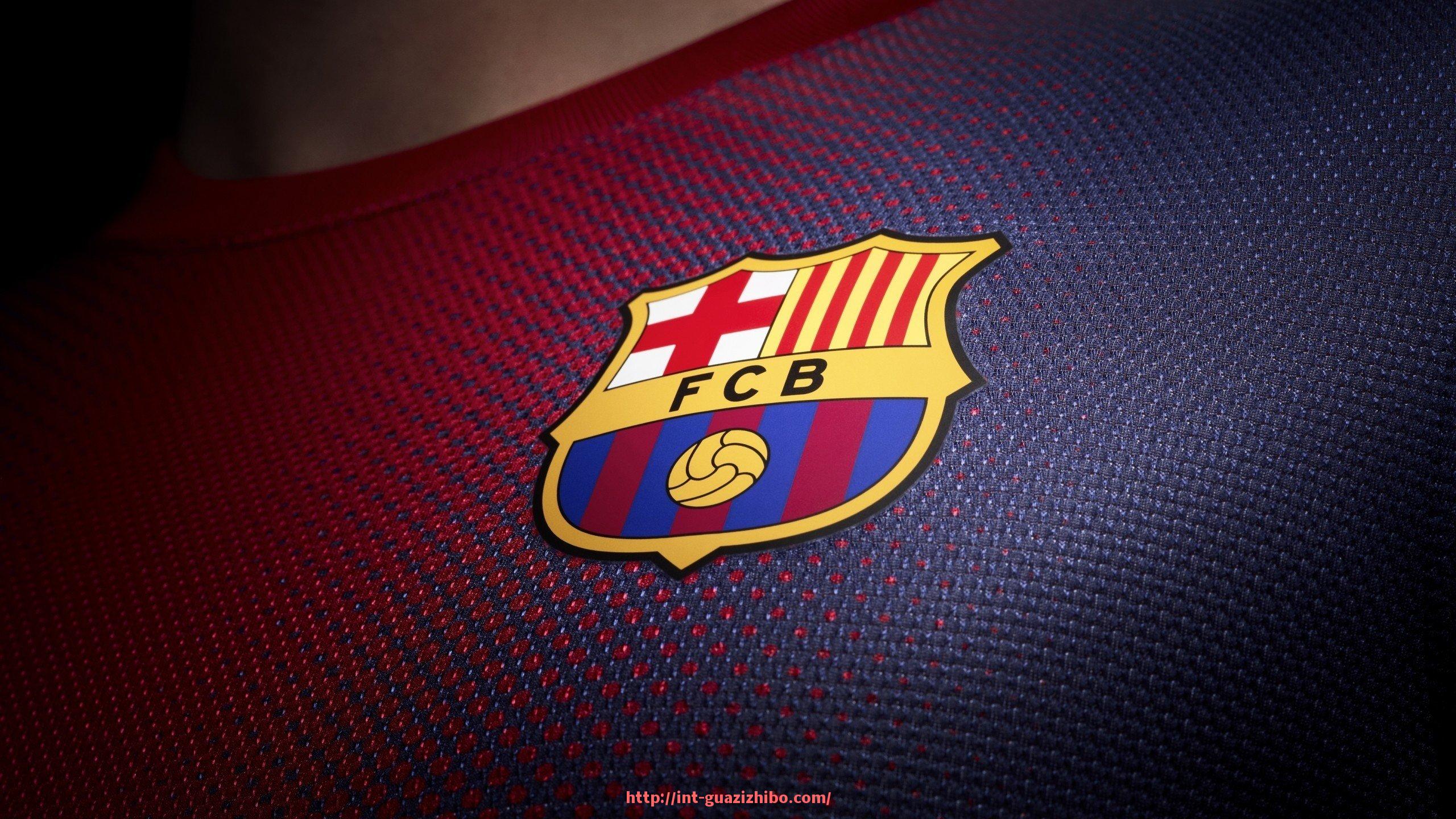 瓜子直播-探索细分市场:世俱杯赞助品牌市场拓展策略研究