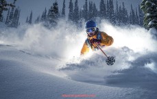 瓜子直播-世俱杯越位次数较多的进攻球员战术站位与判断问题分析