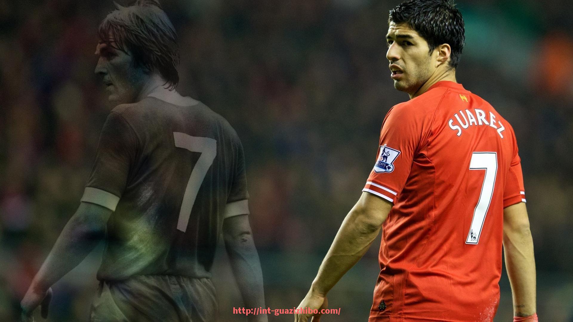 瓜子直播-综合健身器材训练器：全身锻炼的理想选择